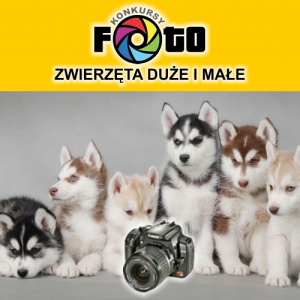 Konkurs z atrakcyjnymi nagrodami