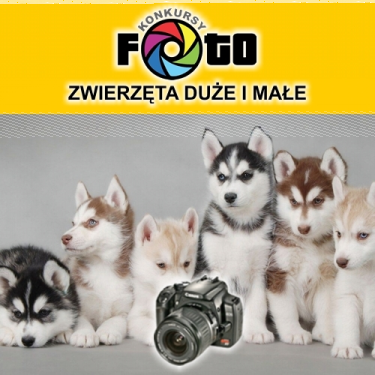 Konkurs z atrakcyjnymi nagrodami