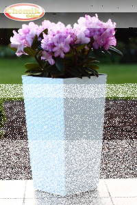 25 konkursów z okazji 25-lecia firmy Chomik