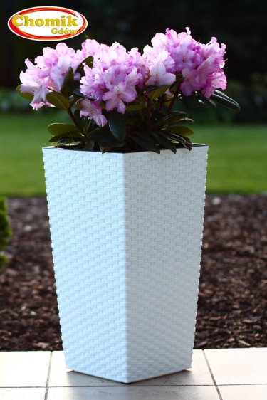 25 konkursów z okazji 25-lecia firmy Chomik