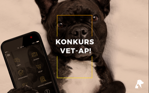 Konkurs fotograficzny z okazji premiery aplikacji mobilnej Addvena Vet-ap