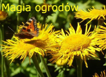 III Ogólnopolski Konkurs Poetycki "Magia ogrodów"