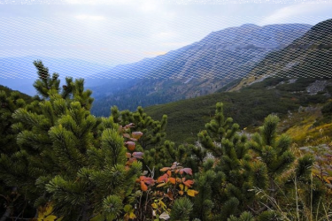 Wygraj weekend majowy w Zawoja