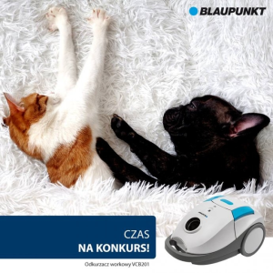Konkurs "Blaupunkt Zwierzaki"