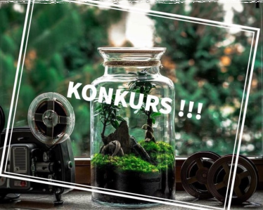 Konkurs "Ogród w szkle"