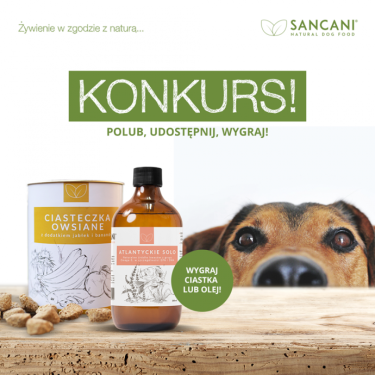 Wygraj ciasteczka owsiane SanCani lub Atlantyckie Solo olej z łososia 250 ml