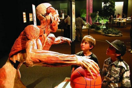 Kraków: Wygraj bilety na wystawę BODY WORLDS