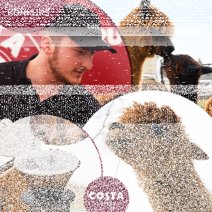 Konkurs "Myślisz Peru - mówisz doskonała kawa lub alpaki"