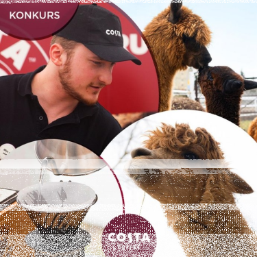 Konkurs "Myślisz Peru - mówisz doskonała kawa lub alpaki"