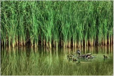 Międzynarodowy konkurs fotograficzny WaterPIX