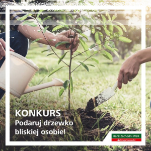 Konkurs "EkoDigital"