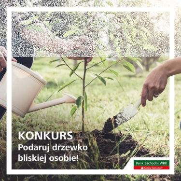 Konkurs "EkoDigital"