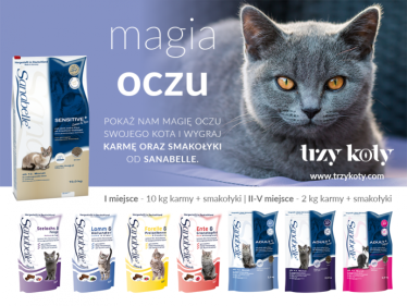 Konkurs fotograficzny od magazynu Trzy Koty