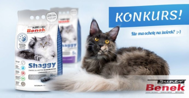 Konkurs fotograficzny "Śmieszne zdjęcie kota"