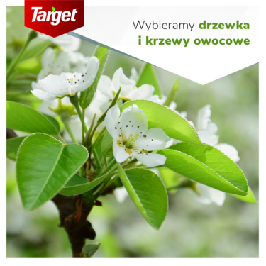 Konkurs fotograficzny "Zdjęcie miesiąca"