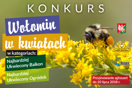 Konkurs "Wołomin w kwiatach"
