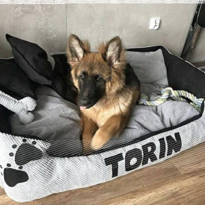 Wygraj legowisko z imieniem pupila w dowolnej kolorystyce i rozmiarze