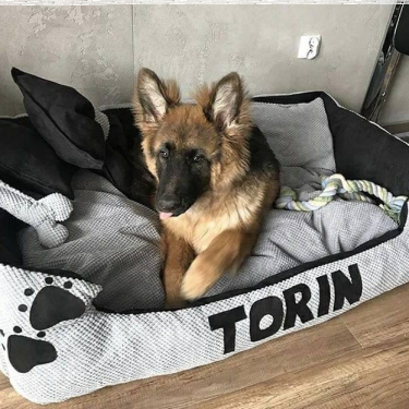 Wygraj legowisko z imieniem pupila w dowolnej kolorystyce i rozmiarze