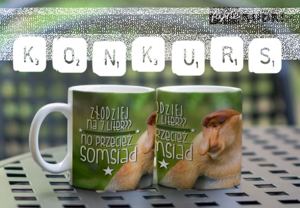 Konkurs fotograficzny "Dzień Somsiada"