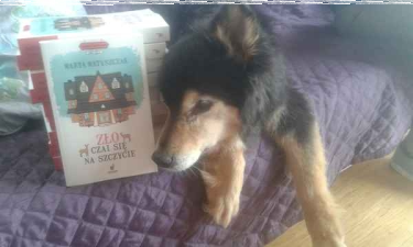 Konkurs "Zgarnij zło czai się na szczycie"