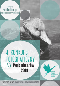 Lublin: Konkurs "Park obrazów 2018"
