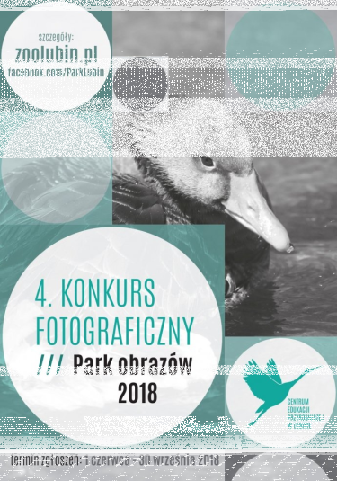 Lublin: Konkurs "Park obrazów 2018"