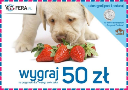 Konkurs fotograficzny “Przysmaki dla zwierzaka”