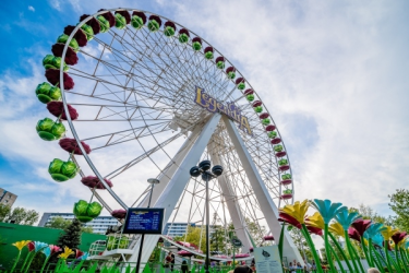 Konkurs "Wielki Plebiscyt Legendia"