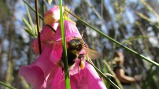 Letnie konkursy z "Supełkowym ABC"