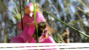 Letnie konkursy z "Supełkowym ABC"