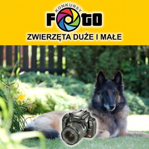 Konkurs "Zwierzęta duże i małe"