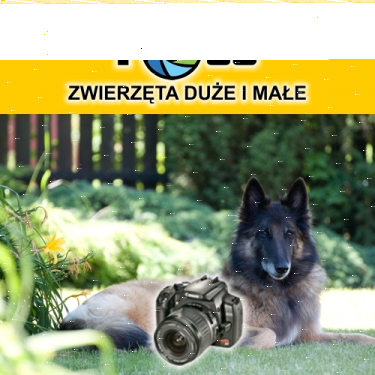 Konkurs "Zwierzęta duże i małe"