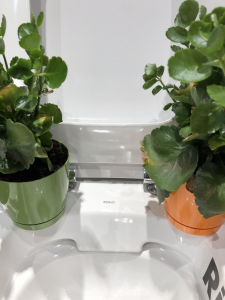 Konkurs "Koło Rimfree"