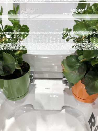 Konkurs "Koło Rimfree"