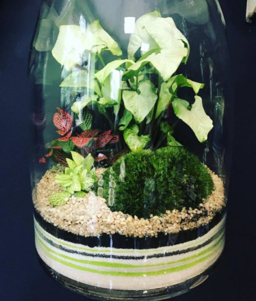 Letni konkurs wakacyjny