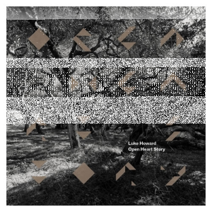 Wygraj nowy album Luka Howarda