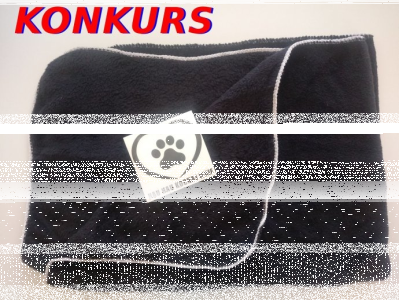 Konkurs z HAU HAU KOCHAJ MNIE