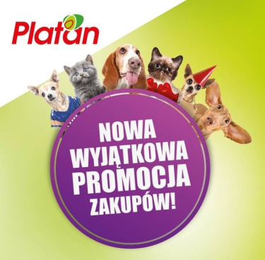 Zabrze: Loteria "Co myślą zwierzaki"