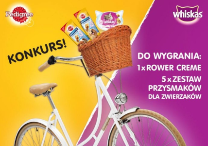 Pojechany konkurs fotograficzny