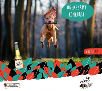 Konkurs fotograficzny: Wygraj torbę marki Reebok