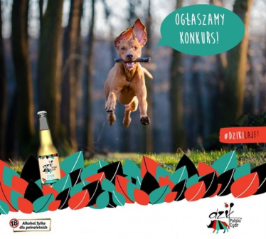 Konkurs fotograficzny: Wygraj torbę marki Reebok