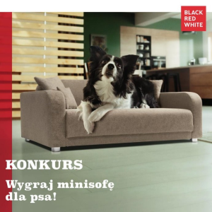 Konkurs "Minisofa dla psa"