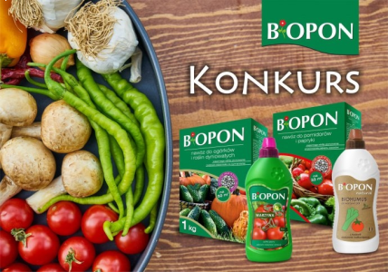 Konkurs "Moja uprawa warzyw!"