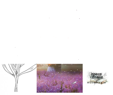 Wygraj książkę "Lawendowe nuty"