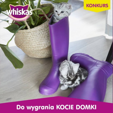 Konkurs fotograficzny "Od juniora do seniora"