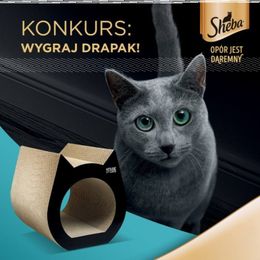 Wygraj drapak dla kota