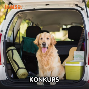 Konkurs "Pupil miesiąca – lipiec 2018"