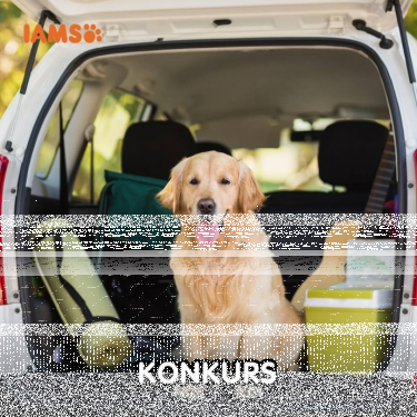 Konkurs "Pupil miesiąca – lipiec 2018"