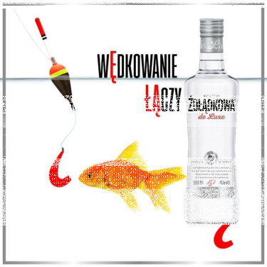 Konkurs "Żołądkowa łączy" 18+