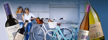 Konkurs "Cono Sur - Rowerem przez miasto" 18+